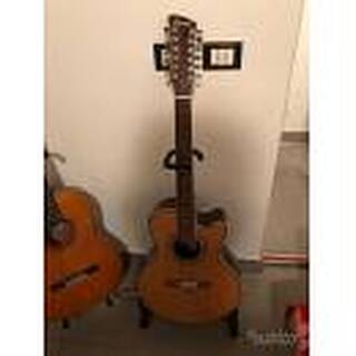 charvel jackson 12-string acoustic electric guitar