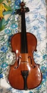 violino 4/4