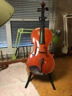 viola karel zadražil del 1983