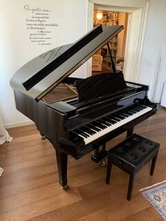 pianoforte hartmann a mezza coda