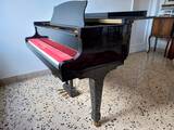 pianoforte mezzocoda carl steinberg