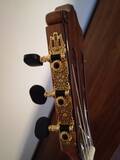 vendo chitarra classica alhambra 8p