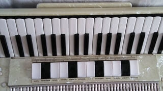 fisarmonica dallape organtone 120 bassi