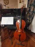 violoncello stentor conservatoire 4/4