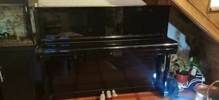 vendita pianoforte acustico a muro come nuovo