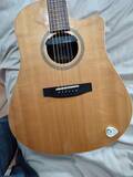 chitarra acustica seagull peppino dagostino artist