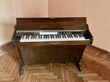 organo elettrico antico