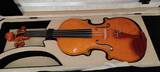 violino 4/4 liuteria