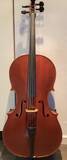 vendo violoncello