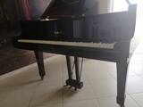 splendido pianoforte yamaha c3 e ~ conservatory