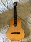 chitarra classica toledo