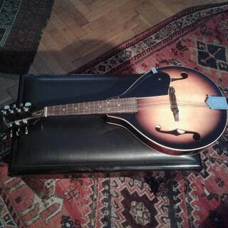 mandolino lombardo vintage