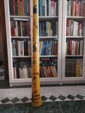 didjeridoo
