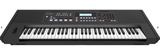 roland-e-x50-arranger-keyboard--borsa-per-trasporto