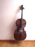 vendo-violoncello-stentor-studio-ii