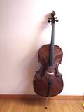 vendo-violoncello-stentor-studio-ii