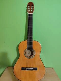 vendo chitarra toledo usata poco