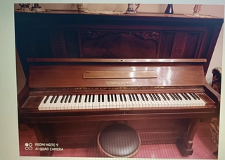 pianoforte schutze