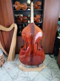 contrabbasso-e-violoncelli-di-liuteria