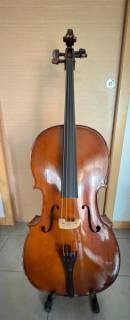 violoncello 4/4 + accessori