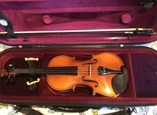 violino reghin 4/4