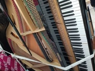 vendo pianoforte a mezza coda marca sholze vera occascione