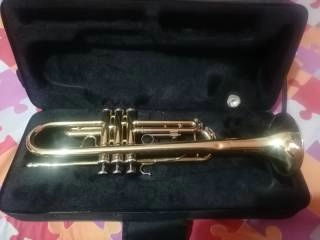 vendo tromba dorata con custodia