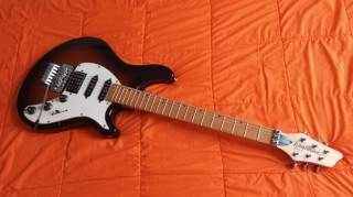 washburn billy t