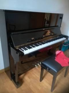 pianoforte verticale petrof p125