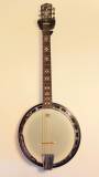 banjo 6 corde harley benton bj-65 pro