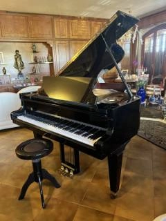 pianoforte a coda schimmel modello 174