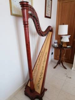 arpa salvi ana 40 corde