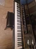 pianoforte verticale bachmann nero lucido