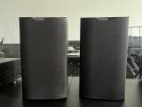 bw-dm601