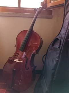 violoncello bruck modello c001s 4/4