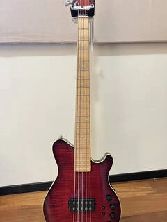 music man 25th anniversary reflex 5 h
