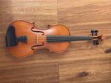 violino-carl-ruckmich