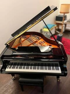pianoforte - schimmel a coda k169
