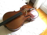 violoncello-gewa-germany-2001