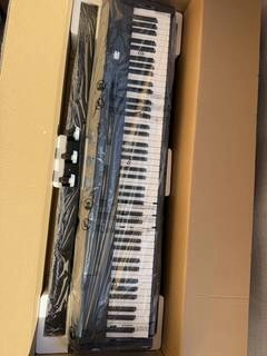 donner professionale pianoforte dep-20