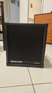 polytone mini brute i
