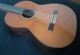 chitarra-classica-spagnola-privada-p11-sped-compresa