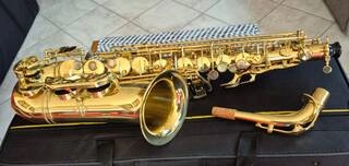 sax alto lien cheng a 601 revisionato (garanzia)