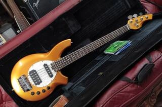 music man bongo 5 corde basso elettrico attivo