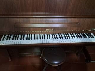 pianoforte acustico petrof