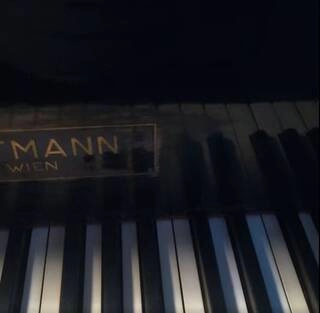 pianoforte a coda w hoffmann