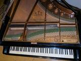 pianoforte bechstein 1909