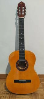 eko cs-10 visual note