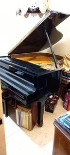 petrof p173 breeze pianoforte a coda repubblica ceca – 2001