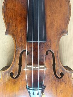 violino datato